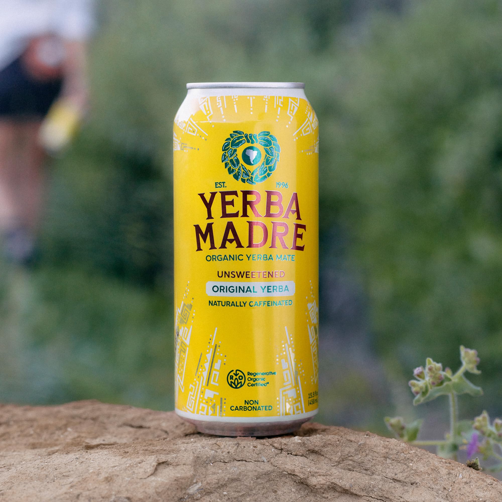 Pack of 12 Guayaki Yerba Madre cans for on-the-go refreshment.