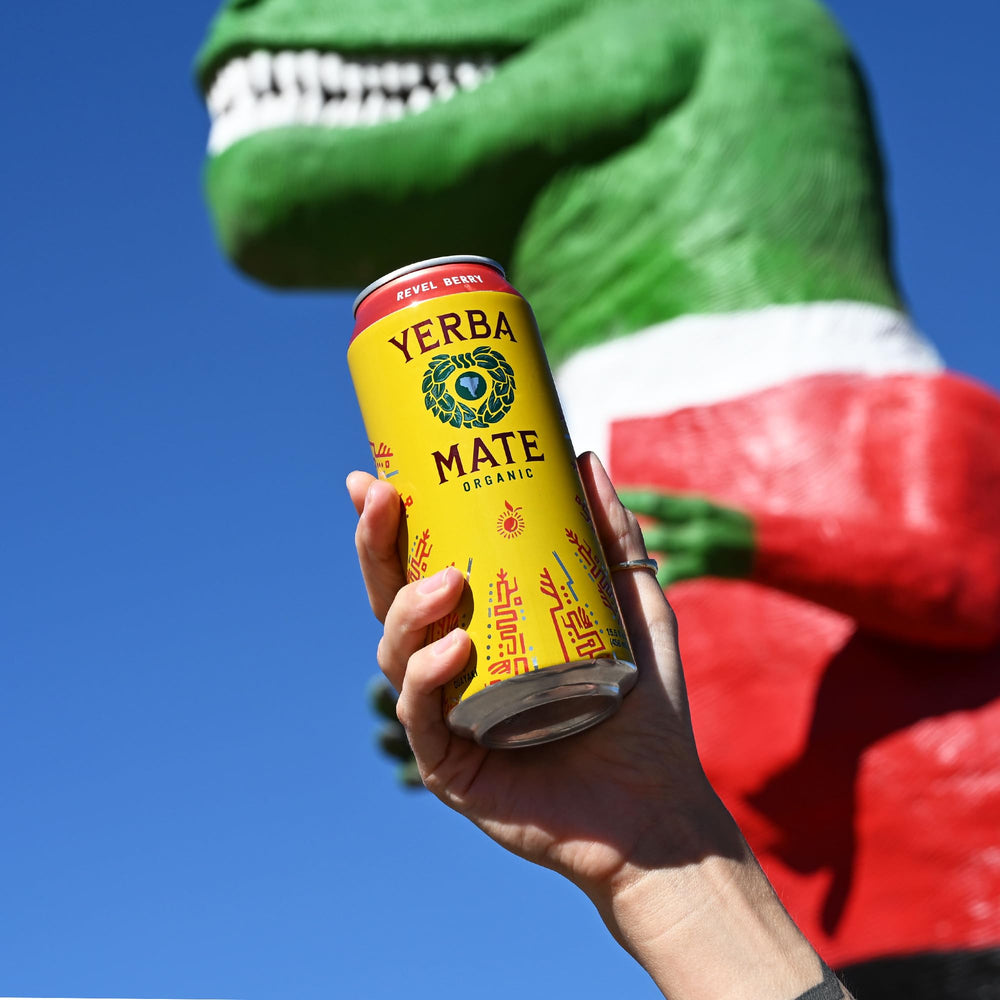 Guayaki Yerba Madre Revel Berry pack of 12 cans for daily energy.