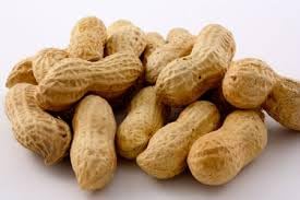 Gurley's in-shell peanuts served in a bowl at a gathering