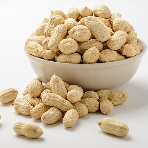 Gurley's roasted salted peanuts close-up texture and color