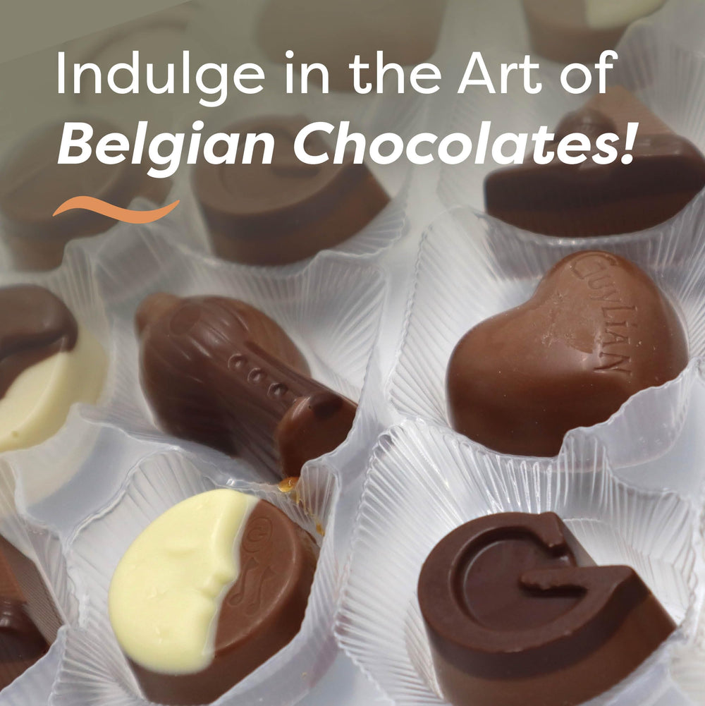 Guylian 16-piece truffle assortment in a luxe gift box for chocolate lovers.
