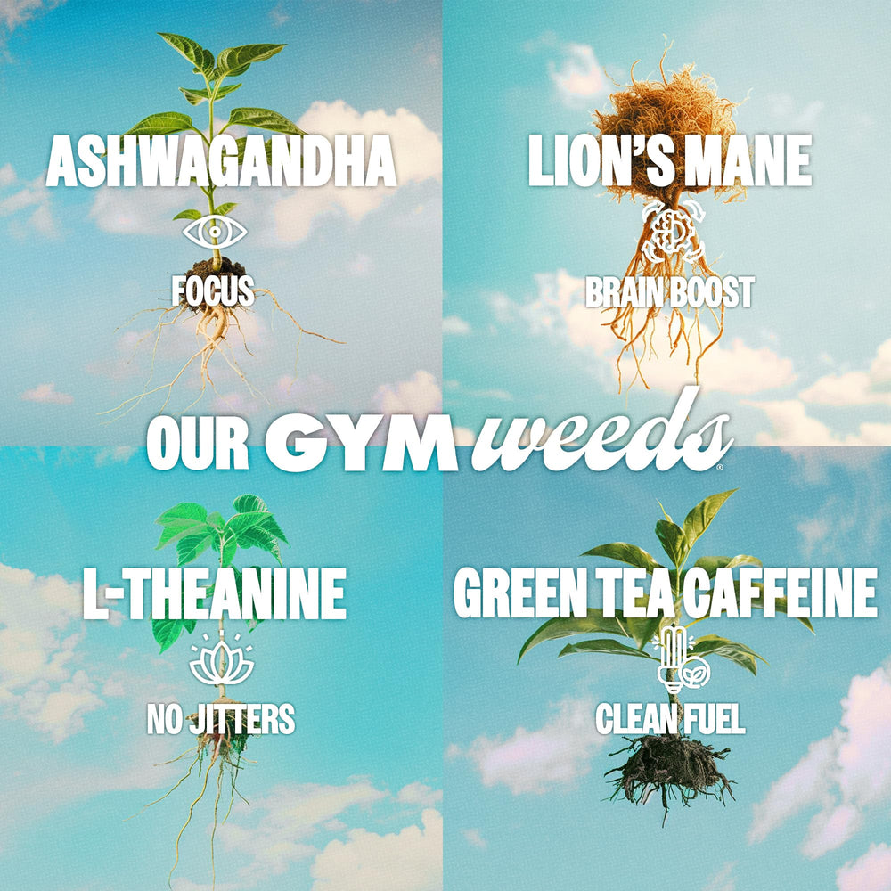 GYM WEED pre-workout-use image shows cans ready for sessions