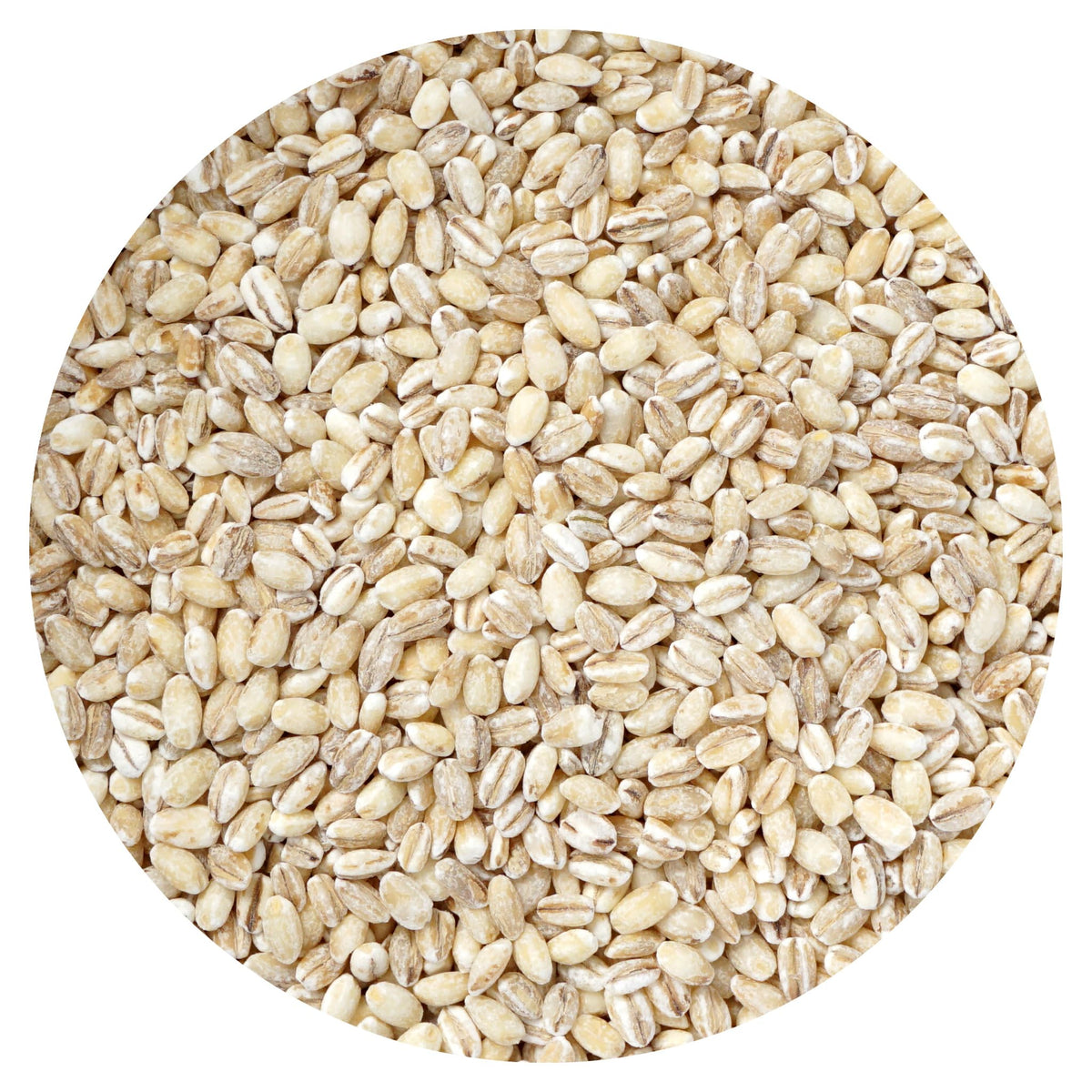 Hampton Distribution Barley Pearl bulk bag ready for bulk cooking and meal prep.