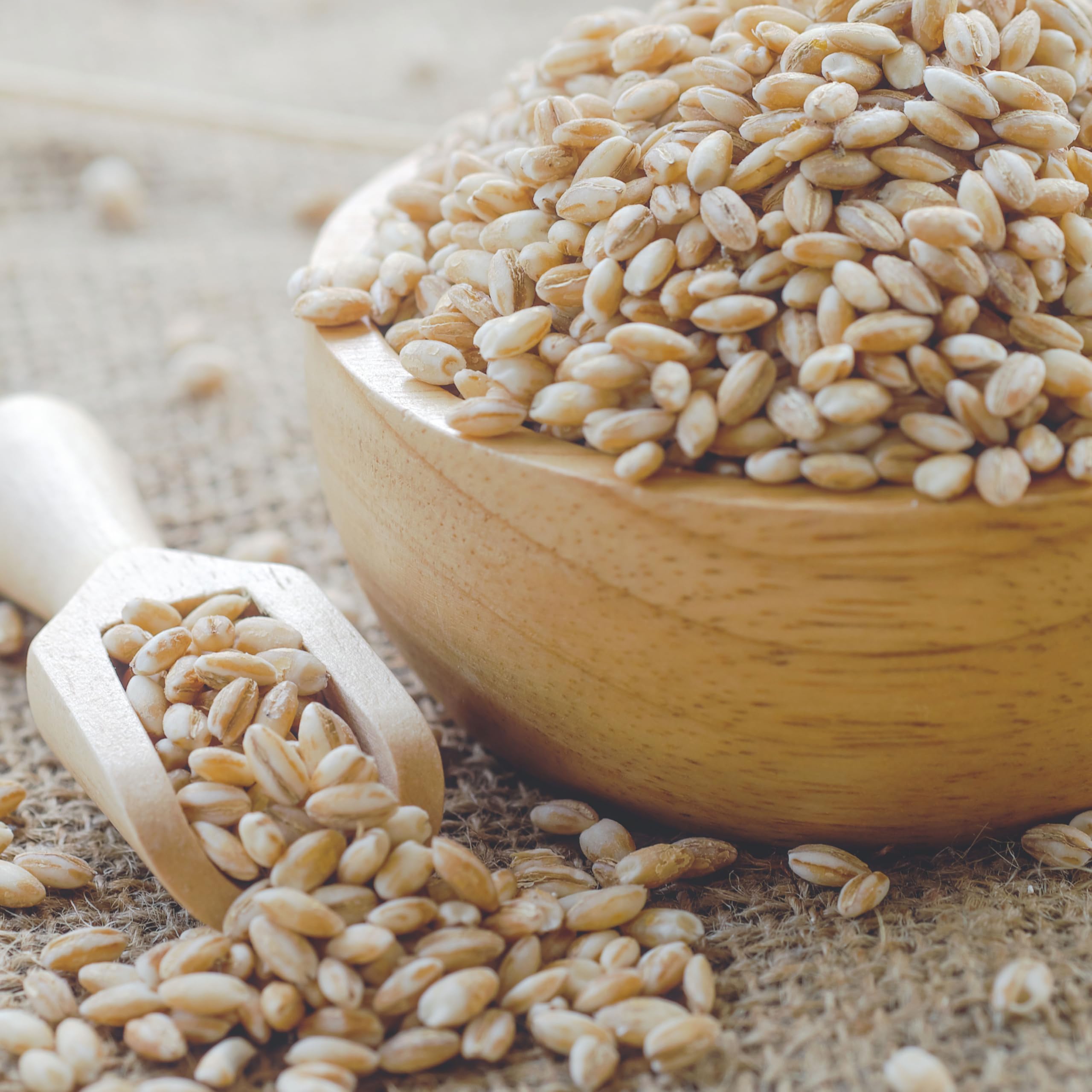 Hampton Distribution Barley Pearl in stew pot highlighting flavor absorption.