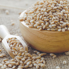 Hampton Distribution Barley Pearl in stew pot highlighting flavor absorption.