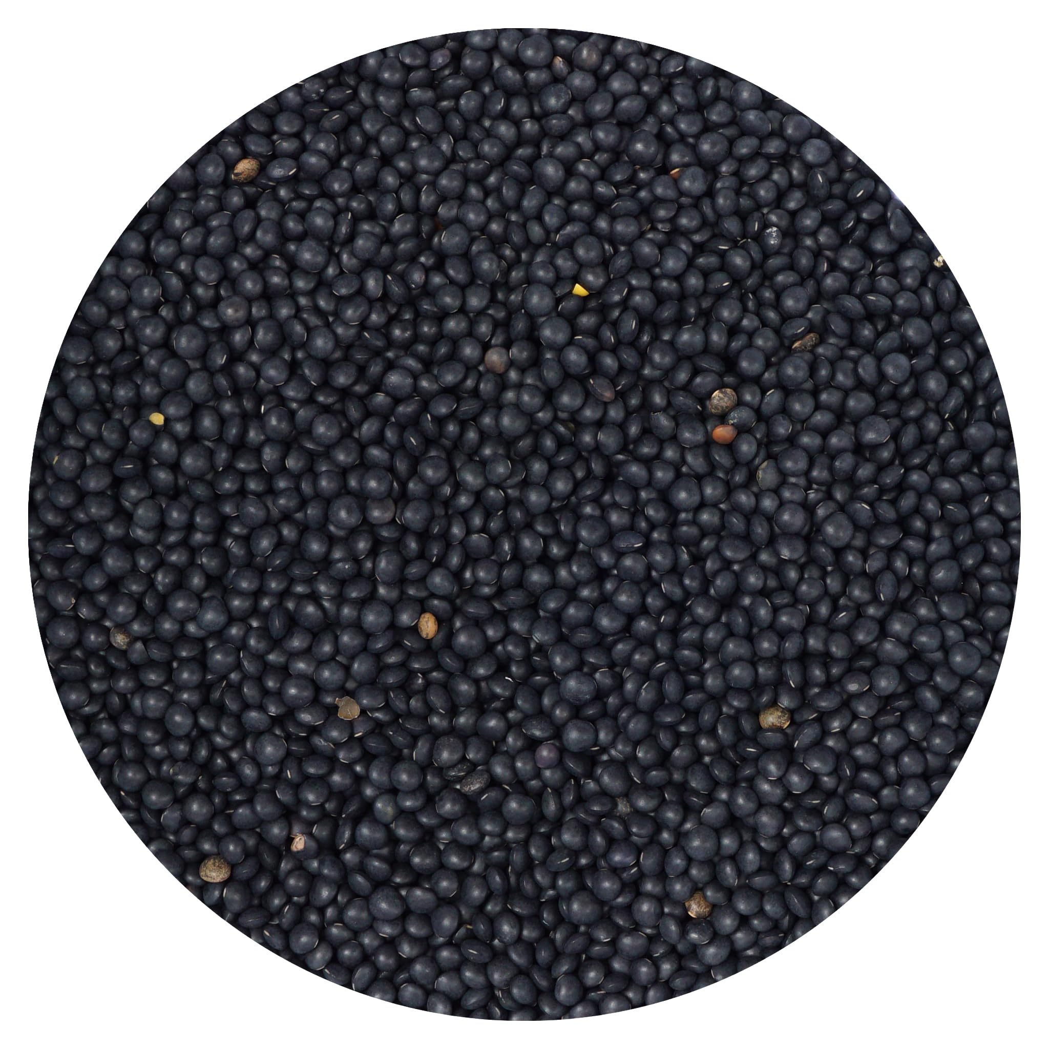 Hampton Distribution Black Beluga lentils bulk bag for pantry staple and easy meals.