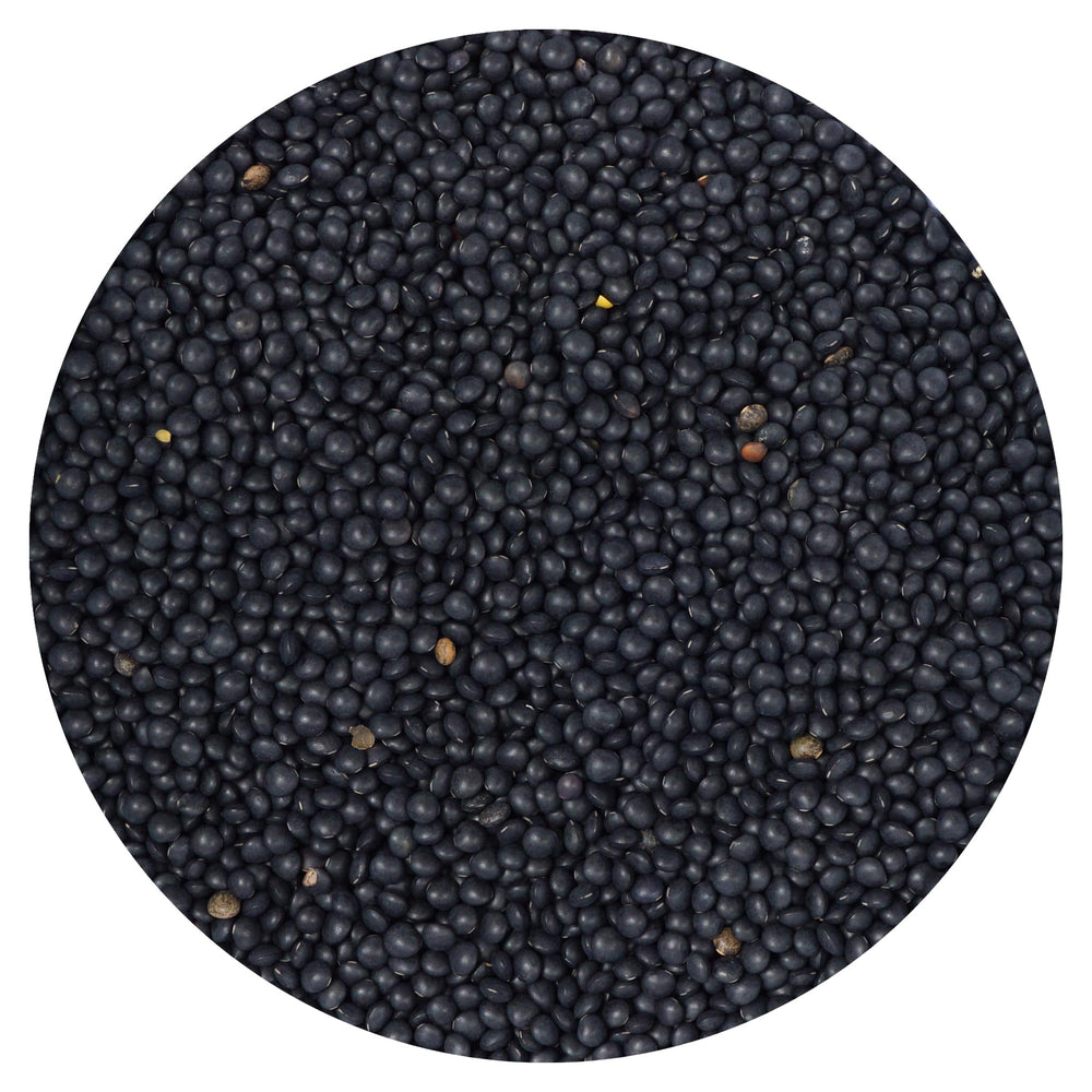 Hampton Distribution Black Beluga lentils bulk bag for pantry staple and easy meals.