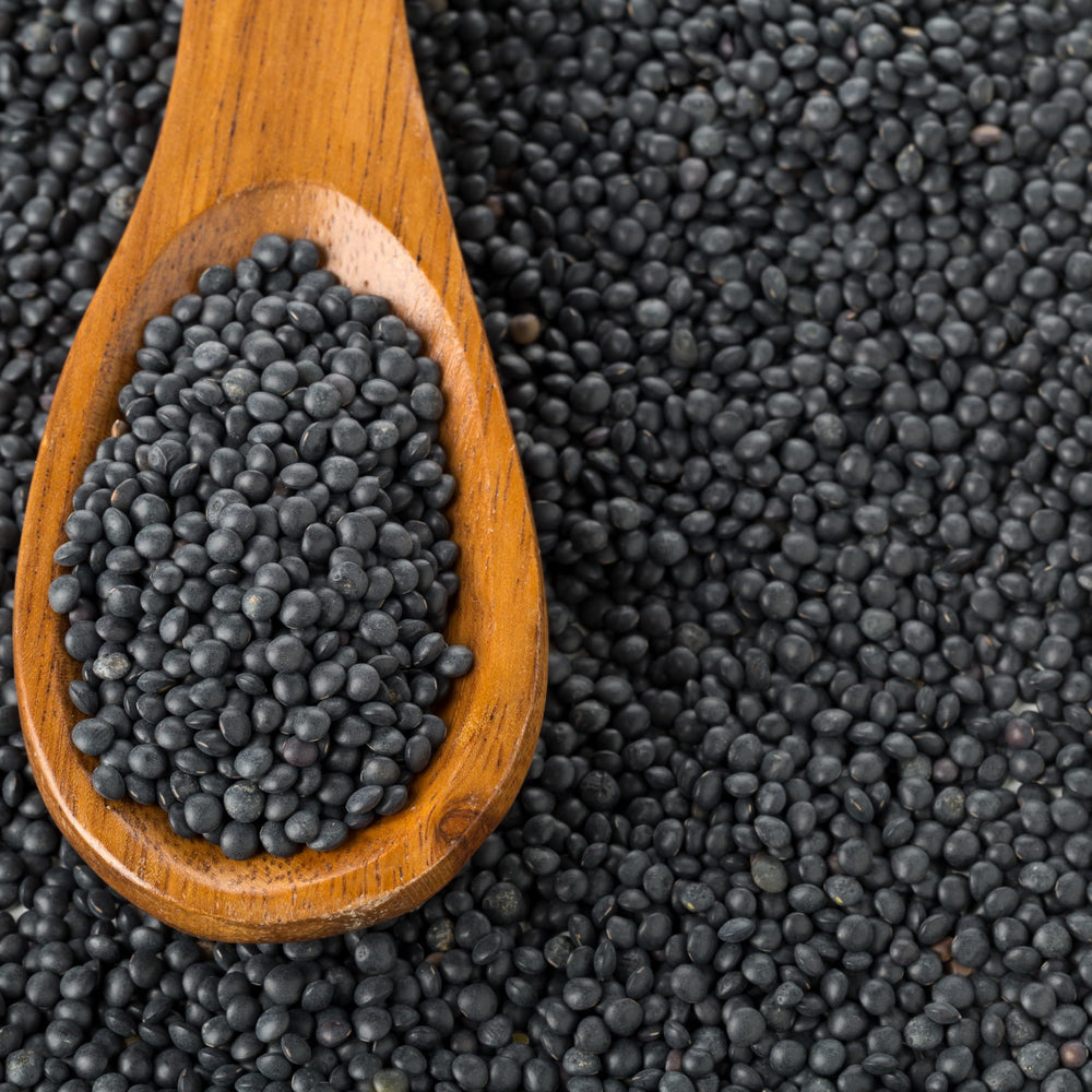 Hampton Distribution Black Beluga lentils in a stew-ready setting highlighting wholesome protein.