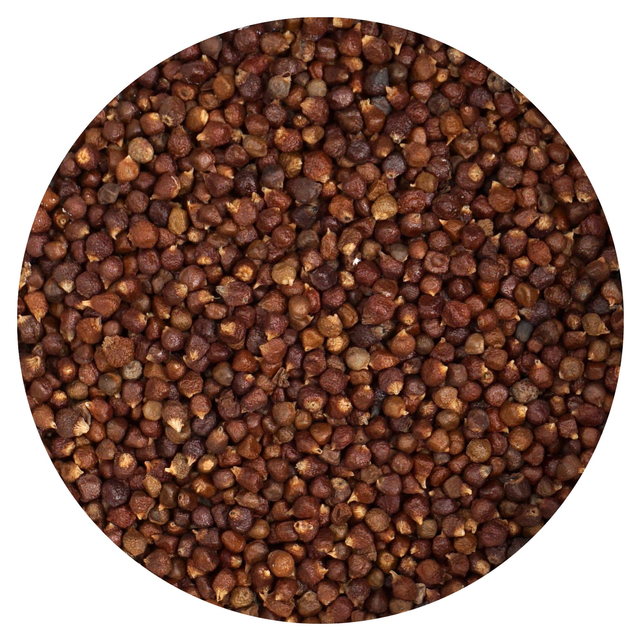 Hampton Distribution Grains of Paradise ground, perfect for fresh peppery aroma in sauces.