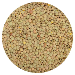 Hampton Distribution green lentils bulk bag - top view, a pantry staple for protein-rich meals.
