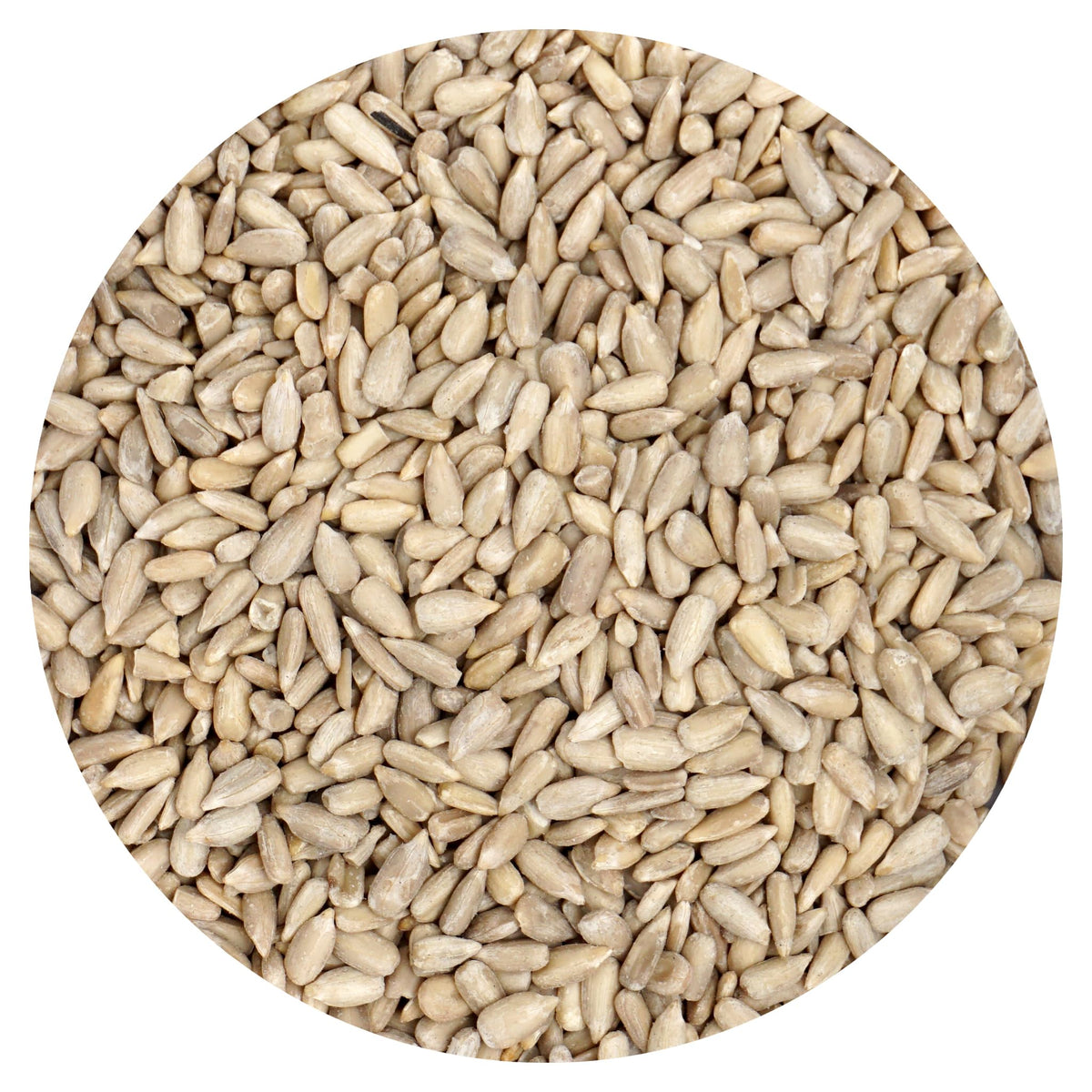 Hampton Distribution raw sunflower seeds in a 1lb bulk bag for a protein-rich snack.