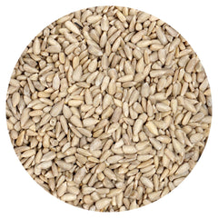Hampton Distribution raw sunflower seeds in a 1lb bulk bag for a protein-rich snack.
