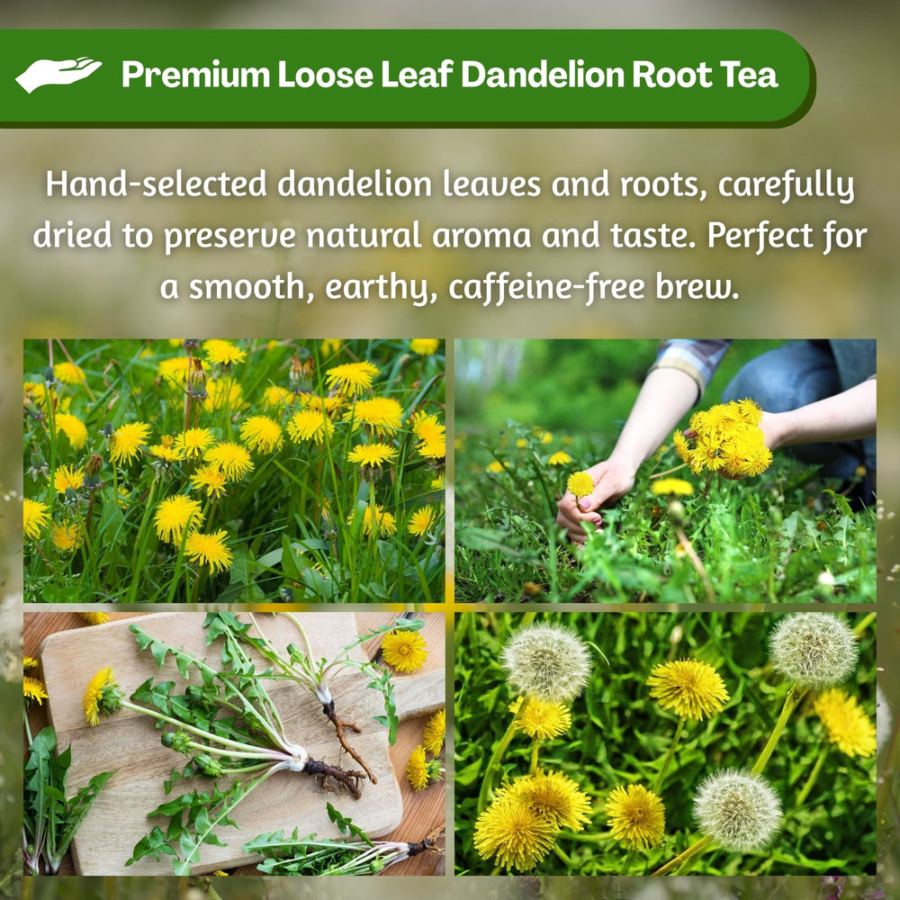 Hanan Dandelion Root Tea caffeine-free brew for anytime enjoyment