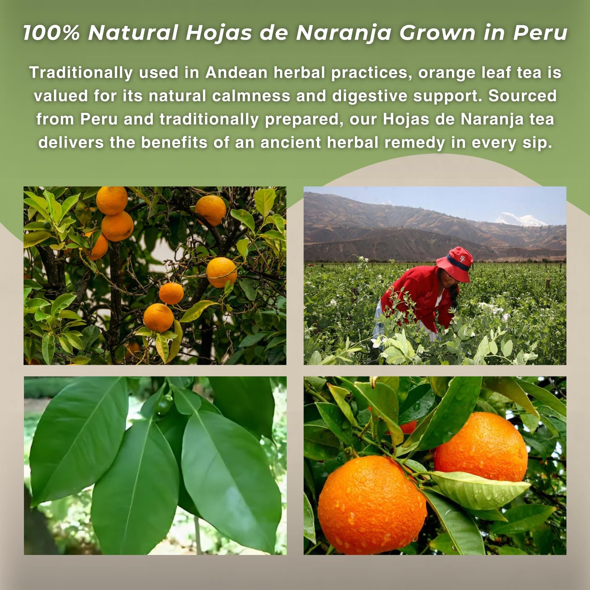 Hanan Orange Tea Peruvian quality signals authentic harvest and care.