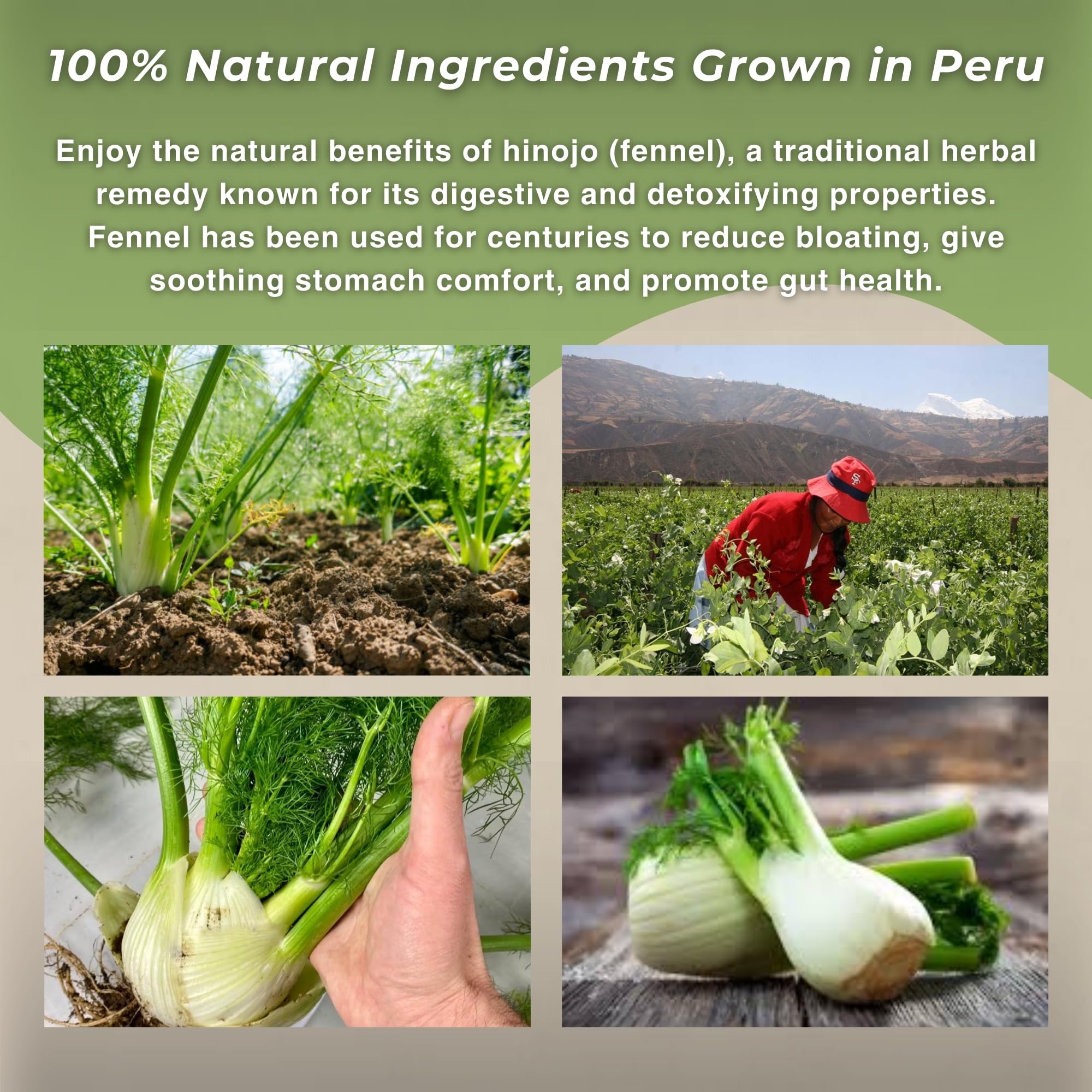 Hanan Peruvian Secrets Hinojo tea brew on a countertop for daily ritual.