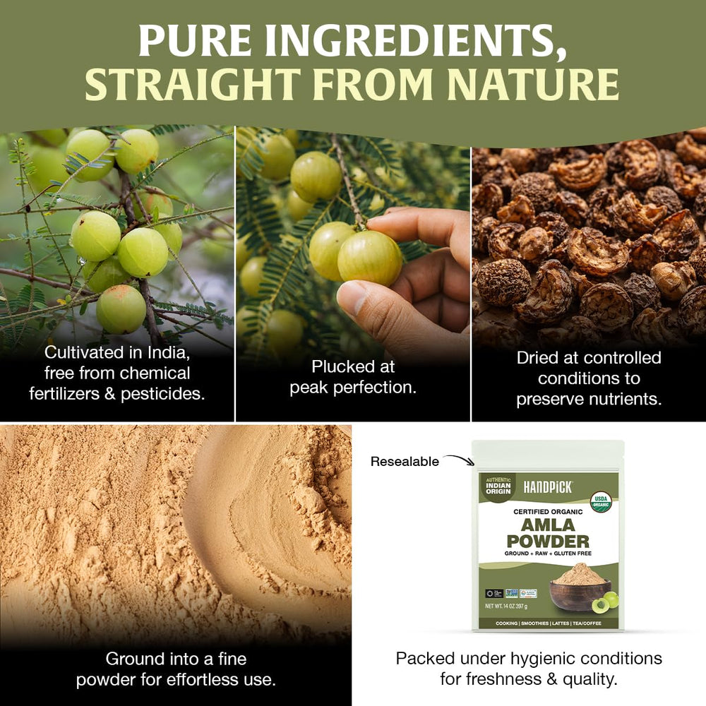 HANDPICK Amla Powder in smoothie scene highlights versatile flavor