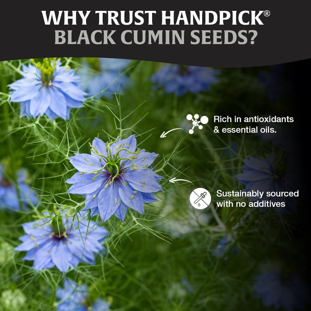 HANDPICK brand transition logo with continued quality and flavor.