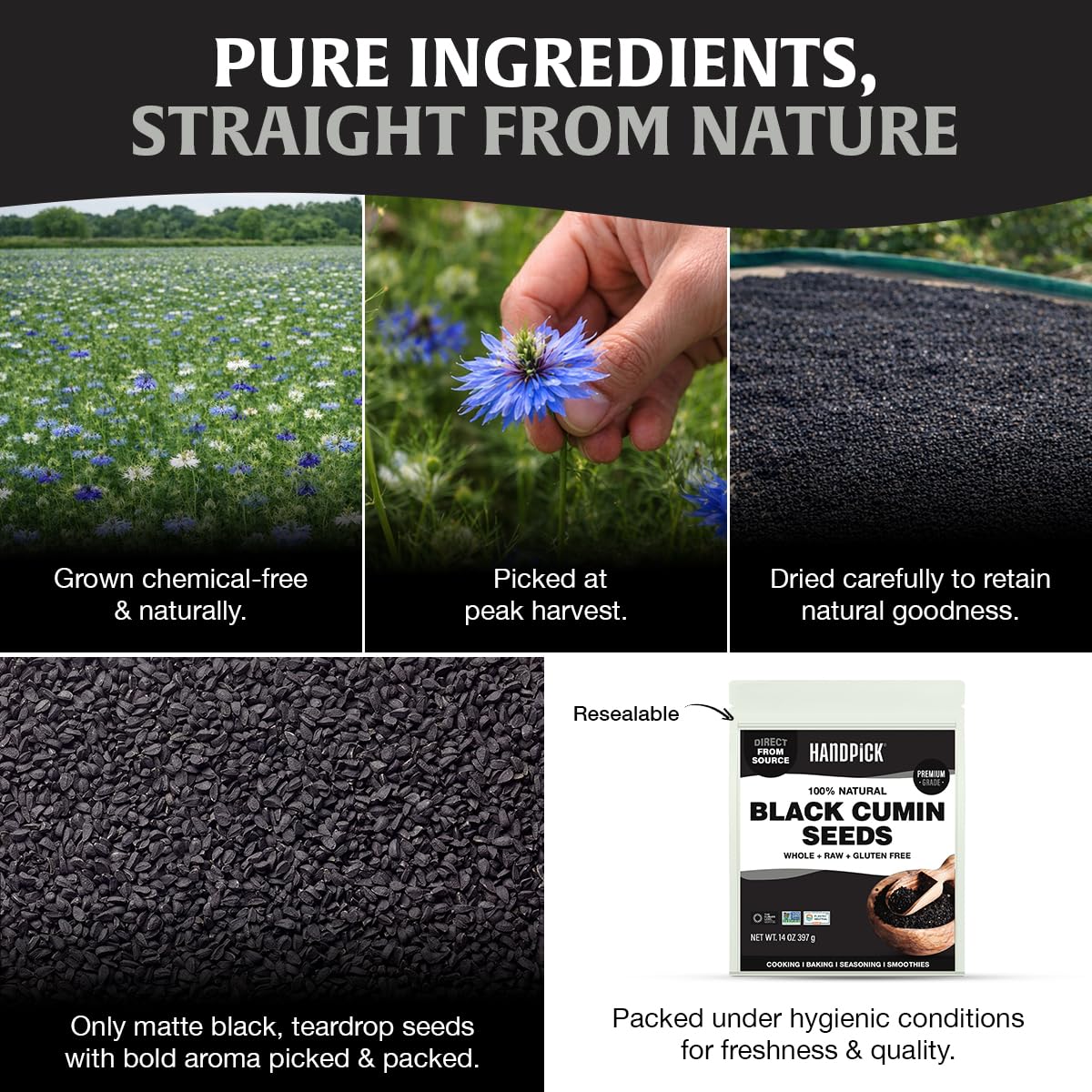 HANDPICK carbon-neutral packaging supports eco-friendly kitchen choices.