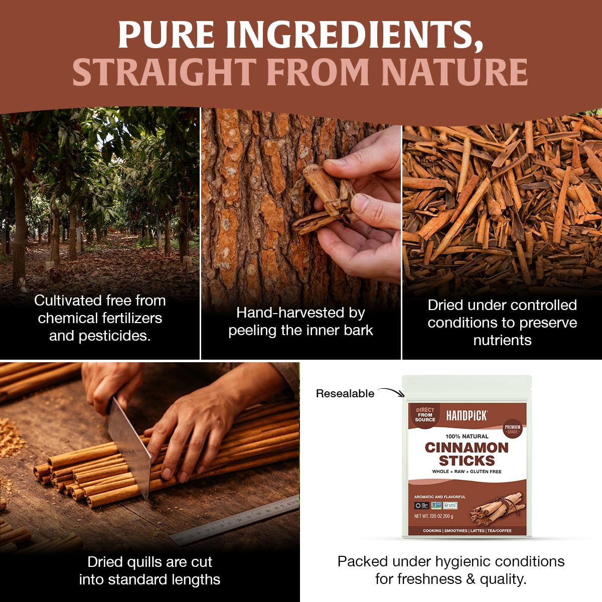 HANDPICK Cinnamon sticks for crafts and DIY holiday ornaments.