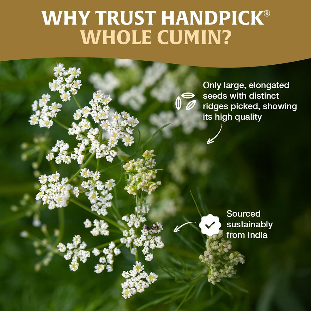 HANDPICK packets support easy storage and freshness after opening