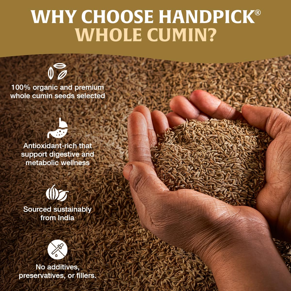 HANDPICK cumin seeds in spice jars elevate meals with authentic Indian and Middle Eastern flavors