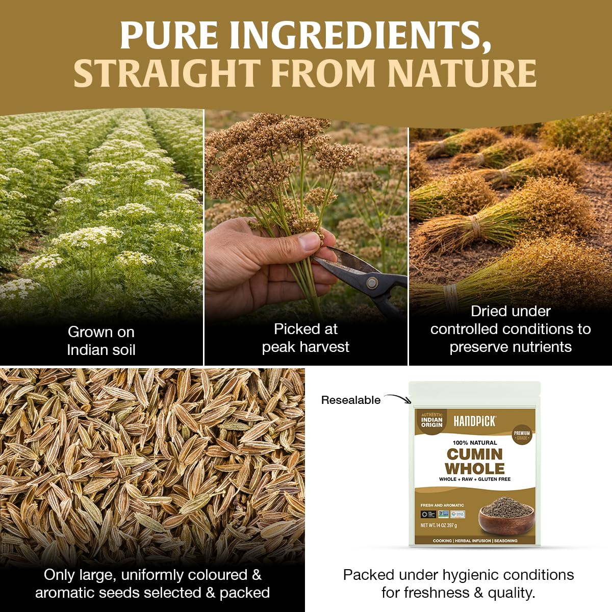 HANDPICK aroma when toasted releases a warm, inviting scent for rice and beans
