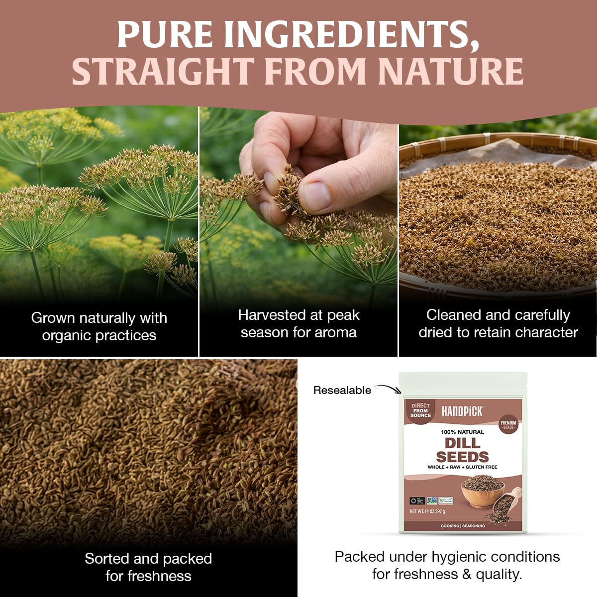 HANDPICK Dill Seeds gluten-free choice boosts flavor in recipes.