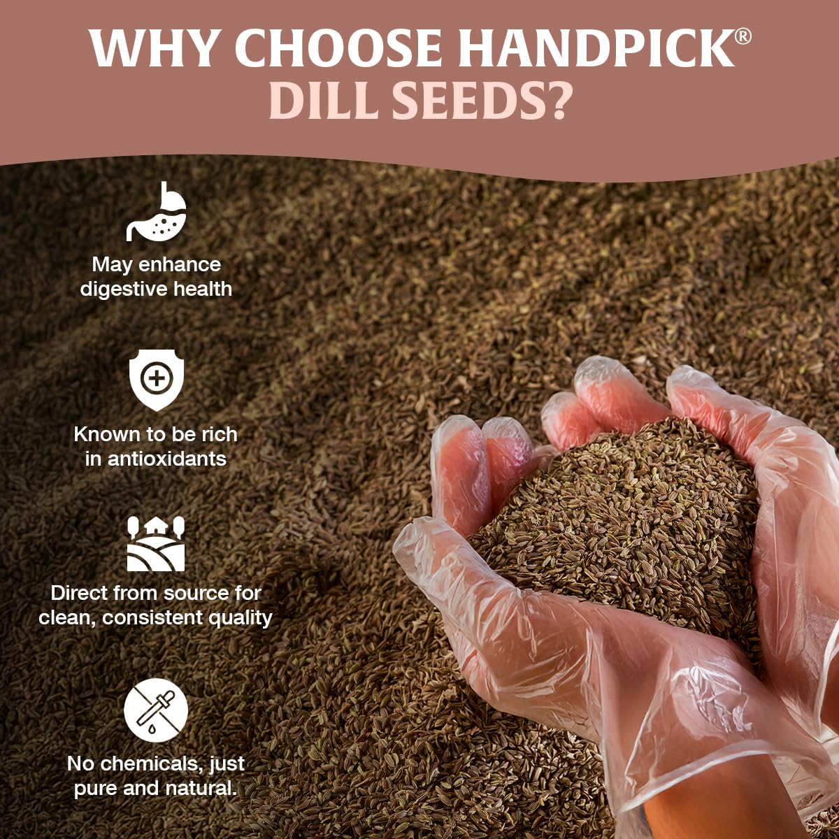 HANDPICK Dill Seeds non-GMO option for pure, gluten-free cooking.