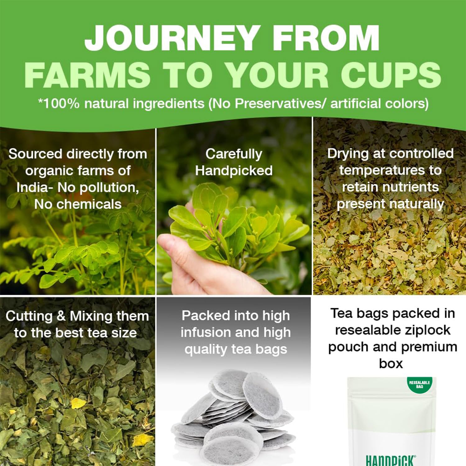HANDPICK dried moringa leaves, natural aroma ideal for brewing.