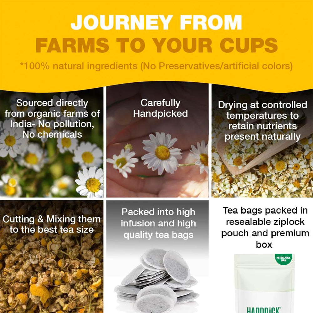 HANDPICK Eco-friendly tea bags packaging signaling sustainable tea choices.