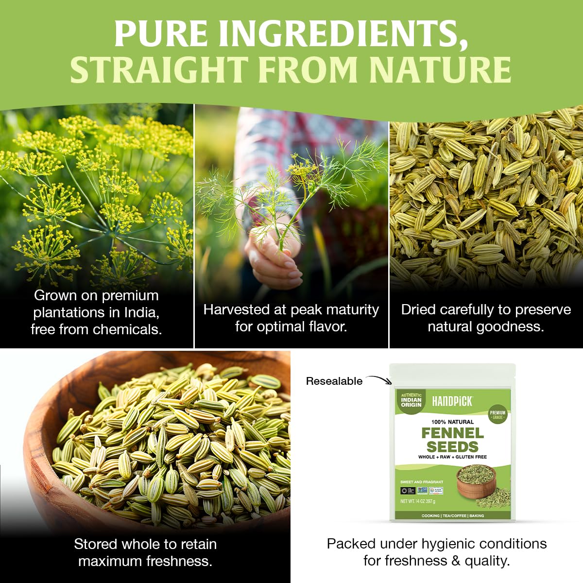 HANDPICK fennel seeds label rebrand reflecting updated packaging and trust