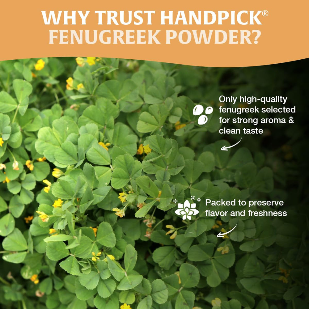 HANDPICK fenugreek curry dish with vibrant color and depth