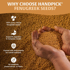 Ground HANDPICK fenugreek seeds powder for nutty sweetness in sauces