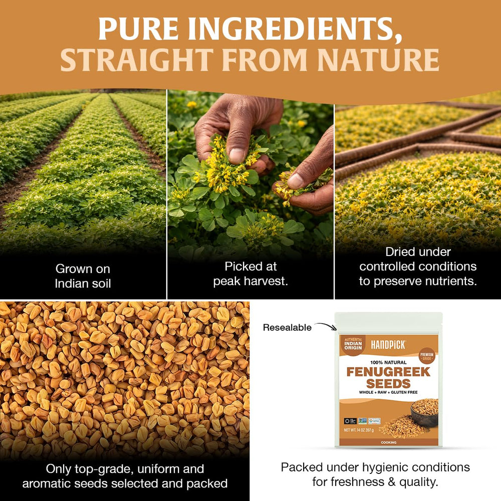 HANDPICK fenugreek seeds from Indian origin for authentic recipes