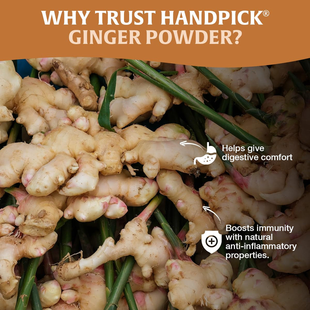 HANDPICK Ginger Powder used in baking and cooking recipes