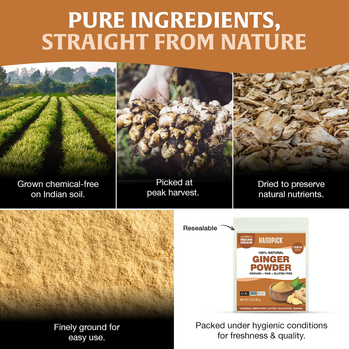 HANDPICK Ginger Powder from Karnataka highlights premium sourcing