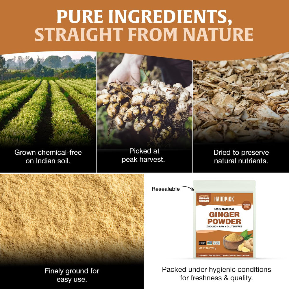 HANDPICK Ginger Powder from Karnataka highlights premium sourcing