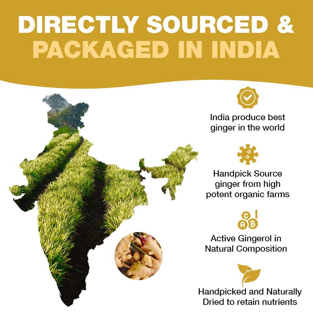HANDPICK Organic Ginger Tea Bags ingredients note highlights pure ginger, no additives.