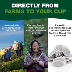 HANDPICK Green Tea from India harvested and packed within 24 to 72 hours.