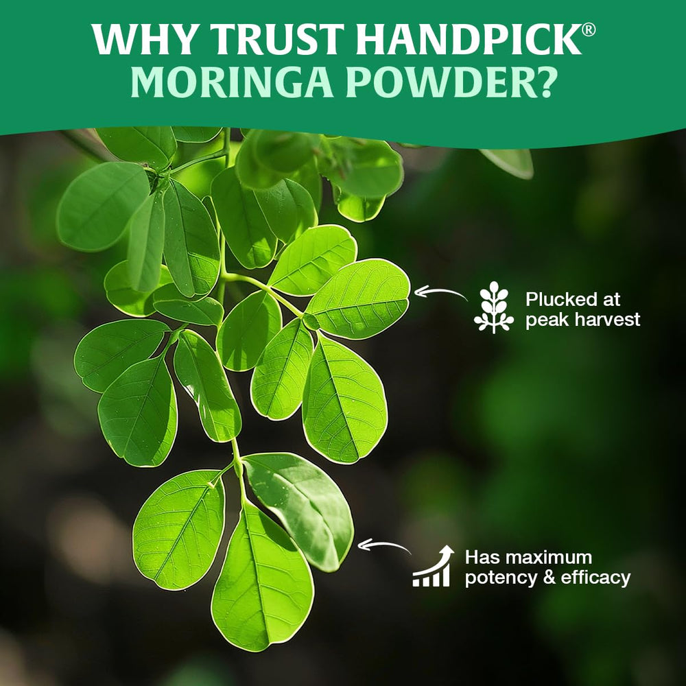 HANDPICK Moringa packaging box emphasizes organic origin and sustainability.