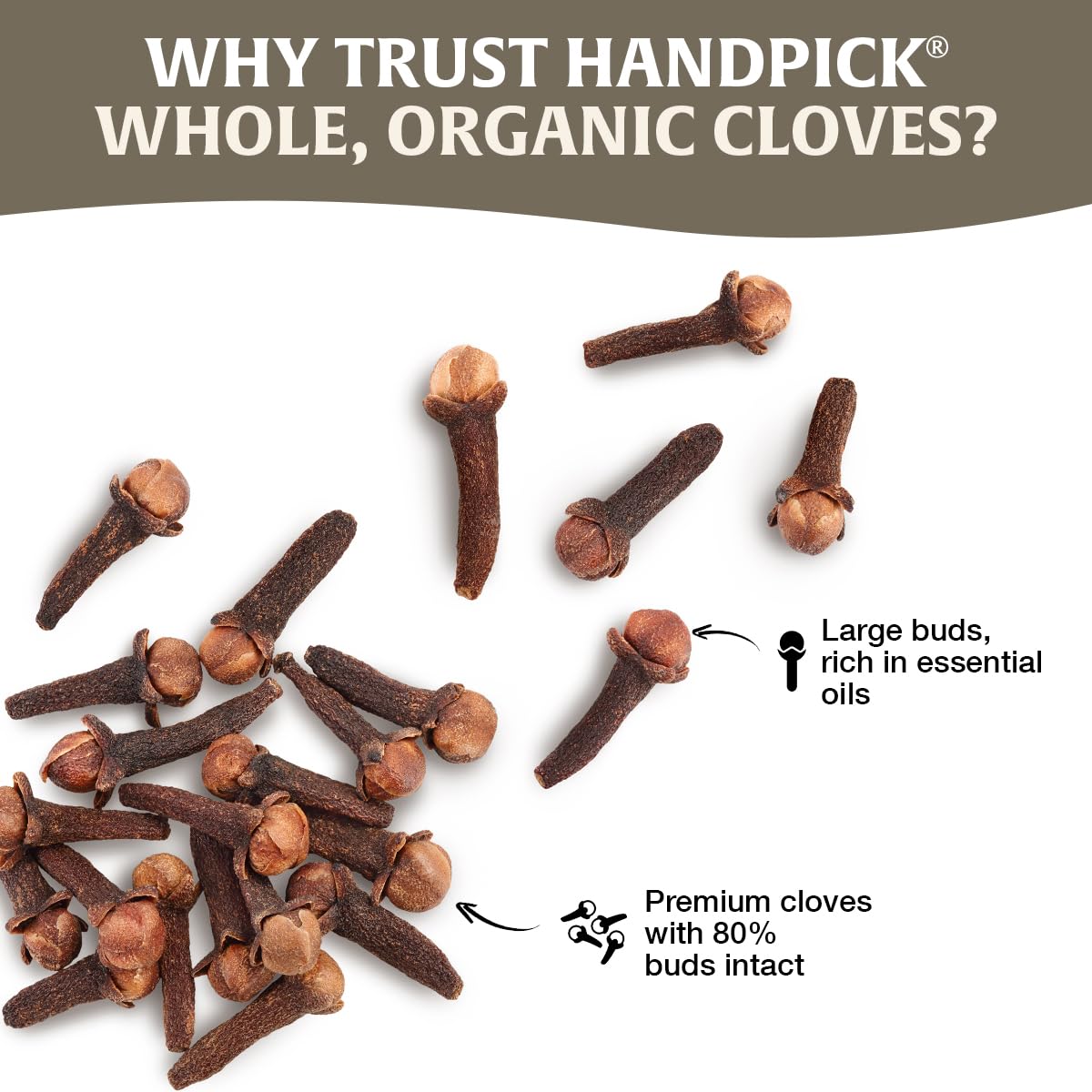 HANDPICK Organic Cloves Whole tea brewing for fragrant, spiced beverages.