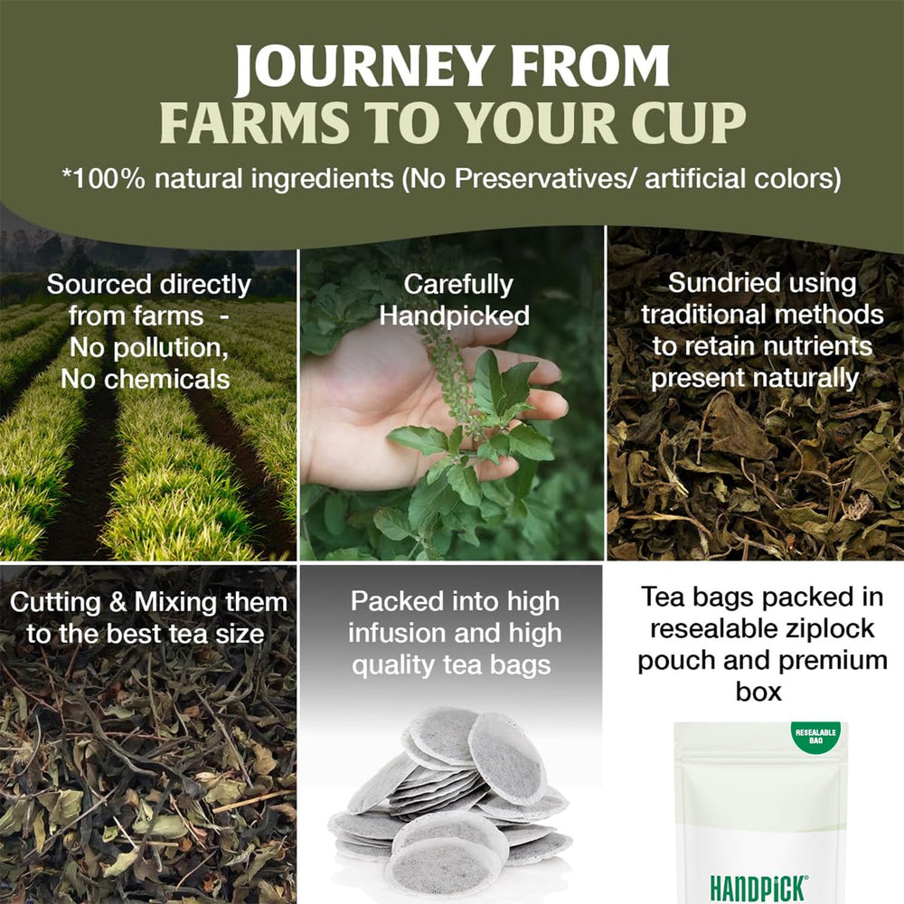 Earthy, evergreen flavor notes of HANDPICK Tulsi Tea