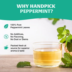 HANDPICK Peppermint Leaves closeup shows 100% pure peppermint for vivid mint flavor.