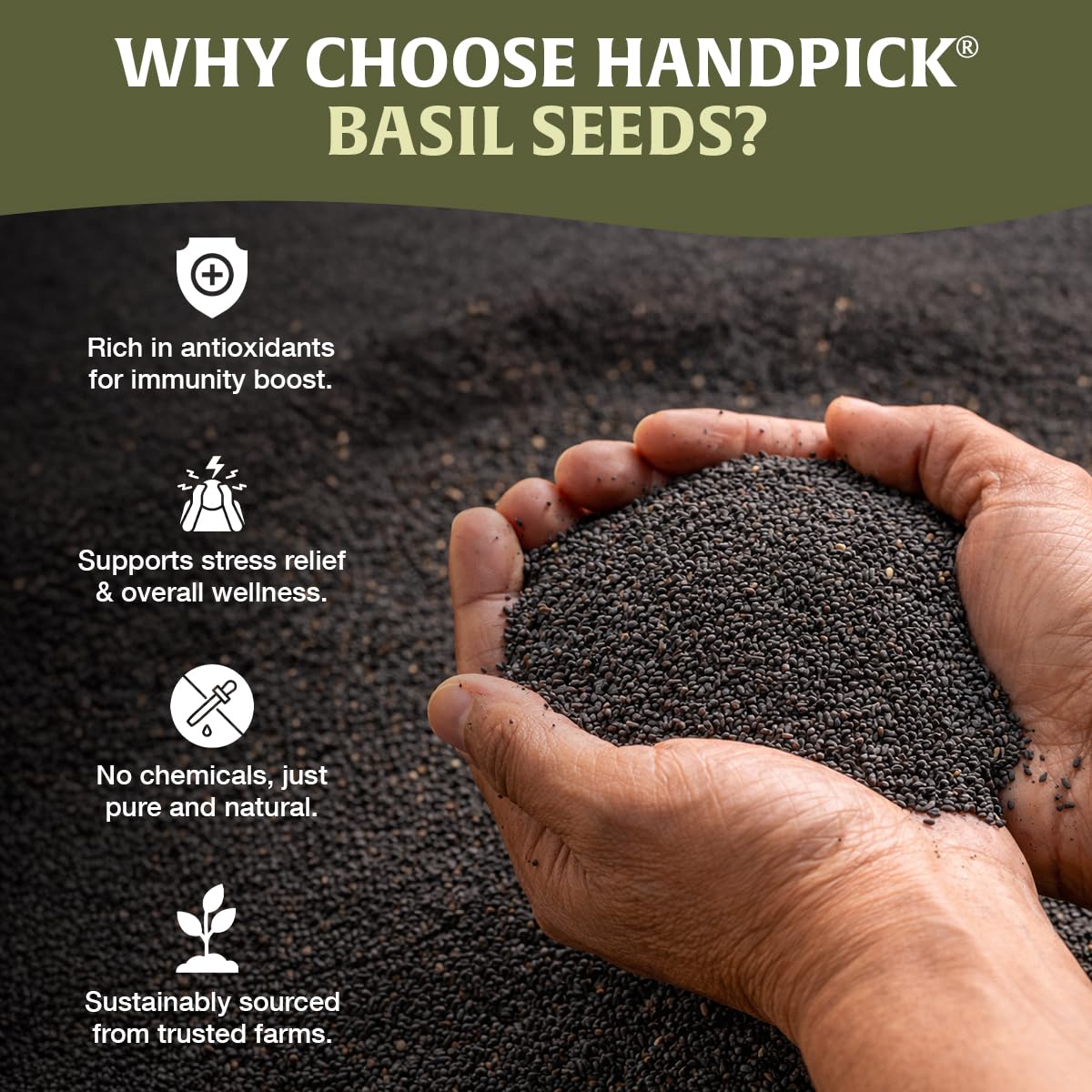 HANDPICK Sabja seeds in a milkshake for a cooling dessert.