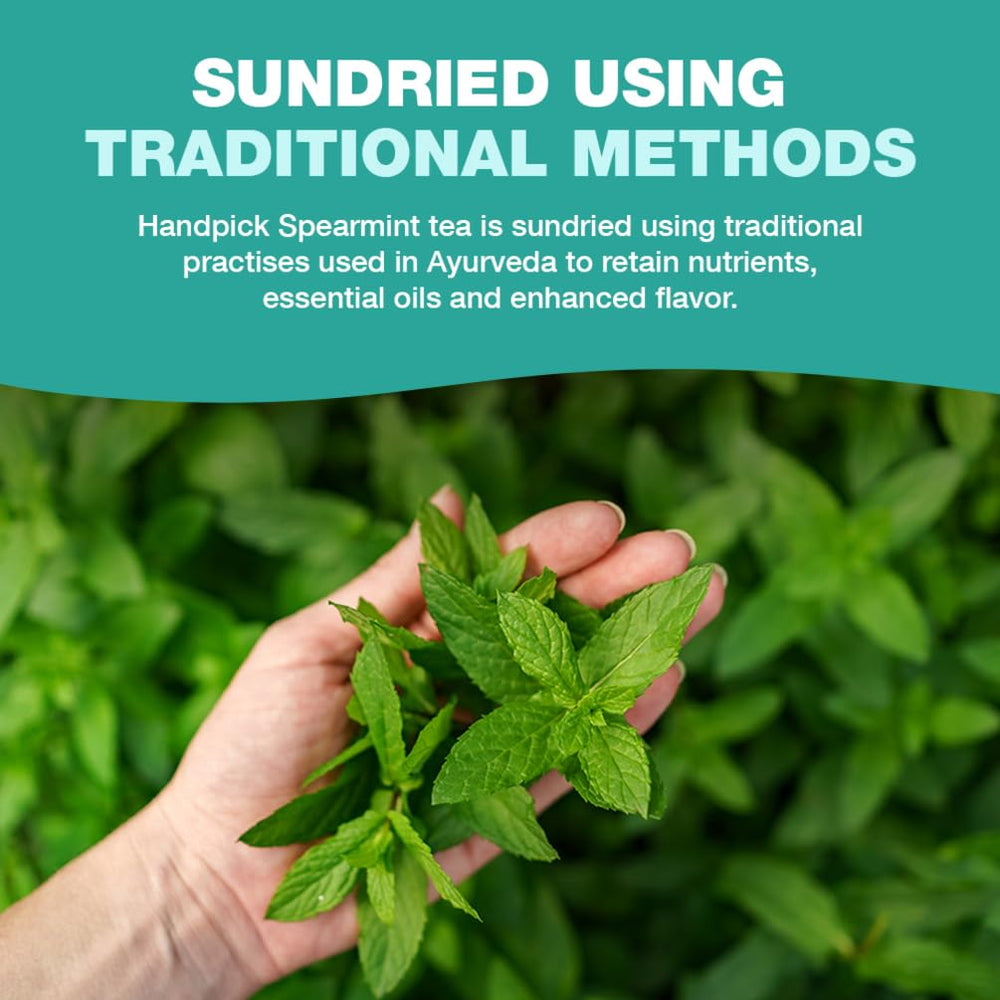 HANDPICK spearmint tea brewing into a steaming cup for a refreshing sip.