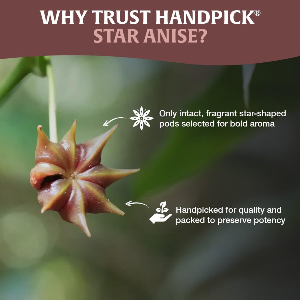 HANDPICK Brand Transition logo on updated packaging.