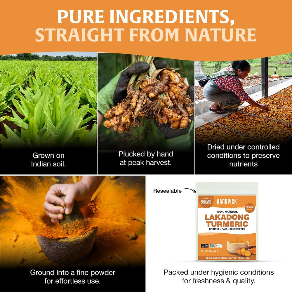 HANDPICK turmeric powder scoop showing convenient everyday usage.