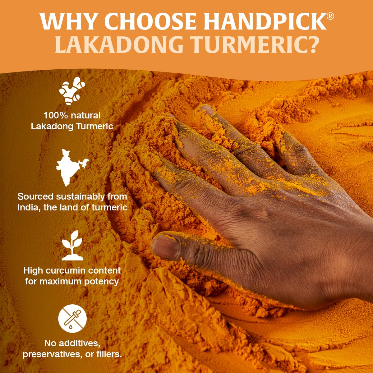 HANDPICK turmeric-spiced dish ready to serve with rich color.