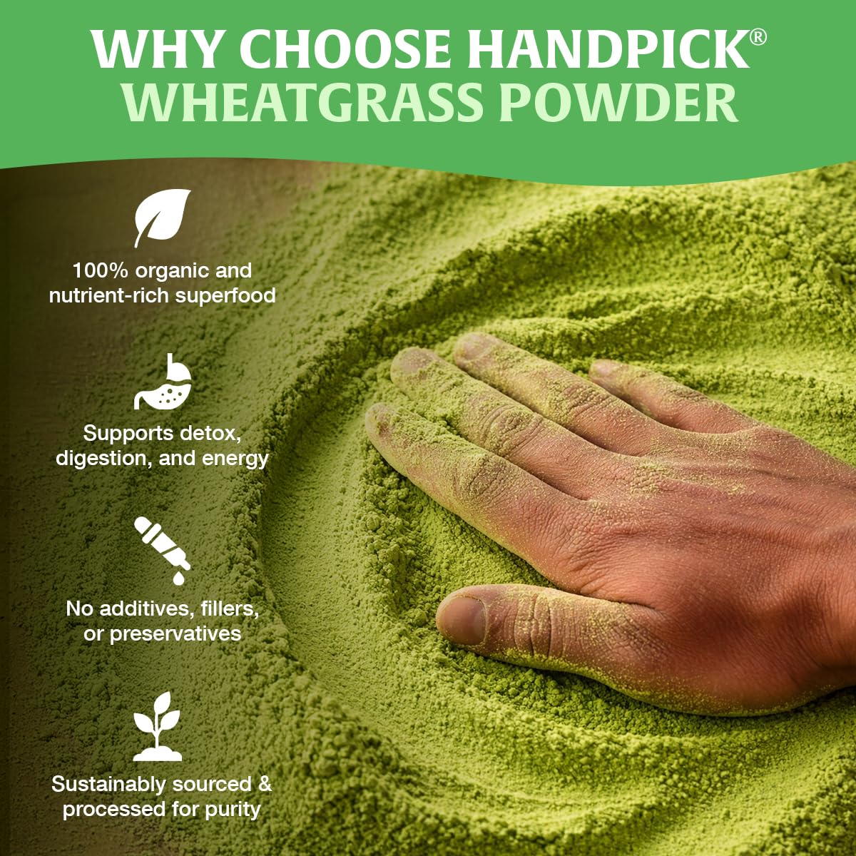 HANDPICK Wheatgrass Powder fine texture with a measuring scoop for precise use