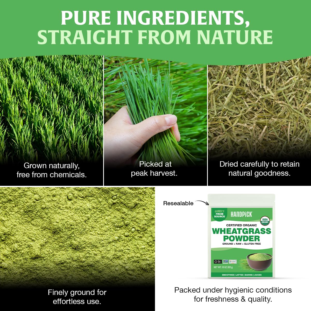 HANDPICK Wheatgrass Powder blended into a vibrant green smoothie